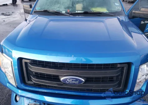 2013 Ford F150 from USA, damaged, VIN 1FTMF1CF3DFB18973